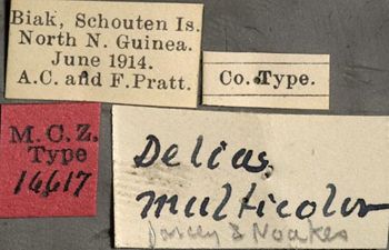 Media type: image;   Entomology 16617 Aspect: labels
